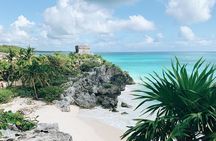Tulum Ruins Tour + Visit to Coba, Cenote Swim and PDC