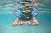 Semiprivate 2 Stop Shore Snorkel Excursion on Bonaire