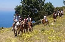 Fethiye Horse Riding Experience
