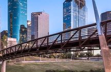 Day trip in Houston Texas with Lunch