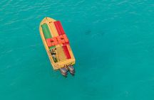 Private Speedboat 2 hrs Crystal & Blue Lagoon Caves & Snorkelling