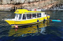 3h Boat Trip + Snorkeling in Puerto de Mogan