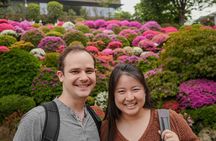 Best Tokyo with a National Licensed Guide