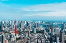 1 Day Tokyo Private Custom Tour