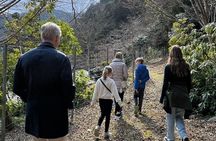Private Tour Miyama Thatched Village from Kyoto