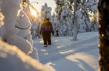 Scenic Levi Snowshoe Trip