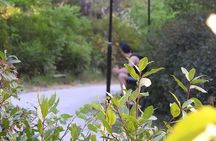 Rainbow Odyssey LGBTQ walking tour of Athens