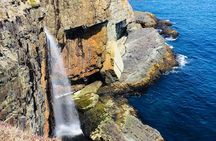 St. John's Coastal Hike with Top Local Guide Deneen