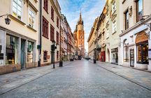 Wawel Castle, Cathedral and St. Mary’s Basilica Private Tour