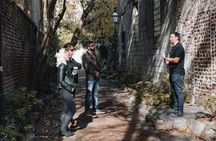 Historic Highlight Tour of Charleston