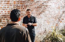 Historic Highlight Tour of Charleston