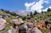 Half Day Tour to Faery Waterfalls, Castle Lake and Mount Shasta