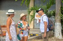 Puerto Morelos Walking Food Tour