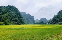 Ninh Binh Full Day Trip From Hanoi To Hoa Lu, Trang An, Mua Cave