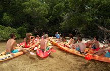 Island Adventure Eco Tour – Explore Key West’s Hidden Backcountry