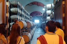 Small-group Winery Tour with Lunch and Experiences