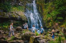 Private Ohana Kohala Waterfalls Adventure 