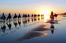 Horseback riding tour of Doñana and visit of El Rocio