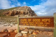 Full Day Tour of Cape of Good Hope and Boulders Beach Penguins