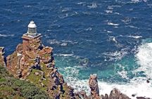 Cape Of Good Hope and Boulders Beach Penguins Full day Tour