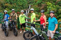 Umauma Falls eBike Tour in Hakalau 