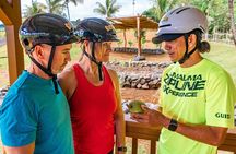 Umauma Falls eBike Tour in Hakalau 