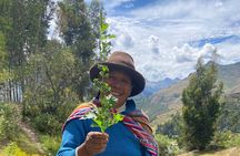 Discover the secrets of Andean nature in Pisac