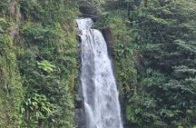 Relax in Hot Springs and swim in Titou Gorge and Trafalgar Falls