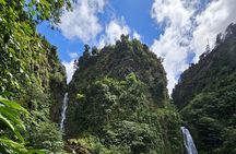 Relax in Hot Springs and swim in Titou Gorge and Trafalgar Falls