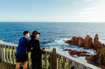 Phillip Island Penguin Parade Express Tour from Melbourne