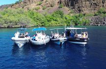 Captain Cook Snorkel Tour with Sea Caves, History and Lava Tubes