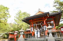 Discover the Wonders of Sakurajima Half Day Tour in Kagoshima
