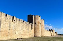 Small group half day Camargue and Aigues Mortes tour