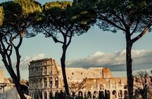 Colosseum Private Tour with Palatine Hill and Roman Forum