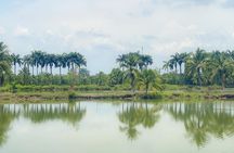 Con Son Islet – The Precious Gem Of Can Tho
