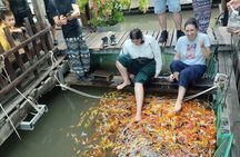 Con Son Islet – The Precious Gem Of Can Tho