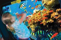 Sea Scope Submarine & Snorkeling Adventure in Hurghada