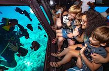 Red Sea Adventure: Semi-Submarine Experience in Marsa Alam