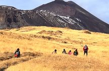 Full Day Shared Tour in Etna and Taormina