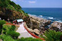 1 Day Private Tour to Miyazaki Nichinan