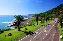 1 Day Private Tour to Miyazaki Nichinan