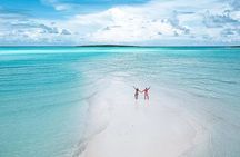 From Reefs to White Sands: A Ras Mohammed & White Island Journey