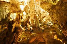 Halong Bay Shore Excursions Half-day Tour from Cruise Port