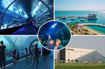 Private Hamad Port Tour in Mesaieed |Aquarium |Maritime Museum
