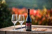 Wine Degustation in the Heart of Slovenian Istria