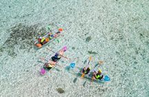 3HR Clear Kayak Mangrove and iguana island Tour in Leeward