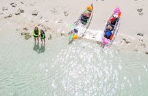 3HR Clear Kayak Mangrove and iguana island Tour in Leeward