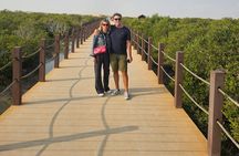 Private Full Day Tour North And West of Qatar