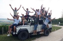 Champagne tasting, panoramic walk in the vineyards