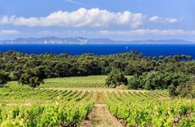 Half Day Wine Tour in Côtes de Provence 